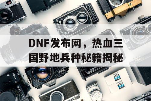 DNF发布网，热血三国野地兵种秘籍揭秘