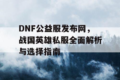 DNF公益服发布网，战国英雄私服全面解析与选择指南