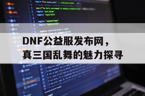 DNF公益服发布网，真三国乱舞的魅力探寻