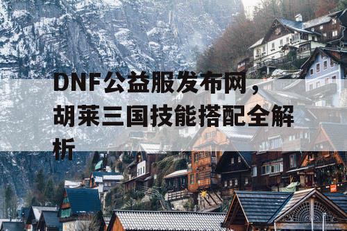 DNF公益服发布网，胡莱三国技能搭配全解析