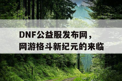 DNF公益服发布网，网游格斗新纪元的来临