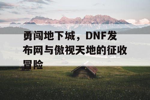 勇闯地下城，DNF发布网与傲视天地的征收冒险