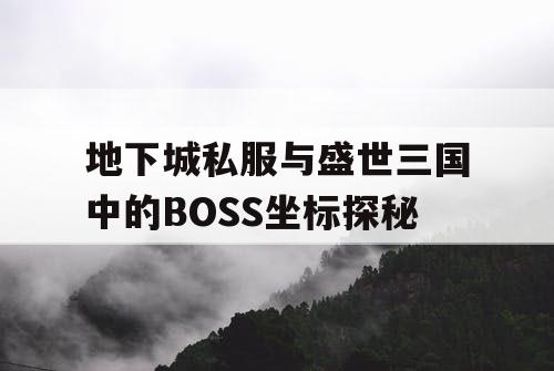 地下城私服与盛世三国中的BOSS坐标探秘