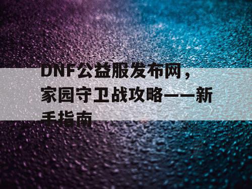 DNF公益服发布网，家园守卫战攻略——新手指南