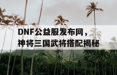 DNF公益服发布网，神将三国武将搭配揭秘