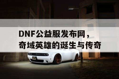 DNF公益服发布网，奇域英雄的诞生与传奇