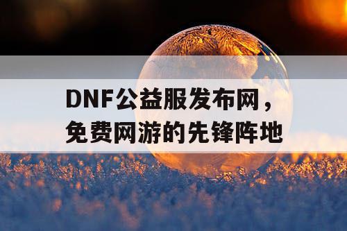 DNF公益服发布网，免费网游的先锋阵地