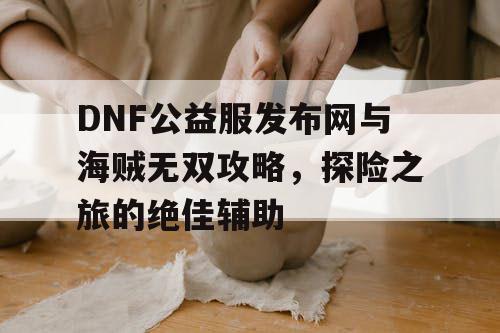 DNF公益服发布网与海贼无双攻略，探险之旅的绝佳辅助